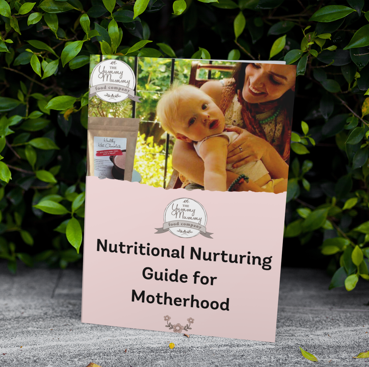 Yummy Mummy Food Company Nutritional Nurturing Guide for Motherhood for Breastfeeding Success & Postpartum Healing